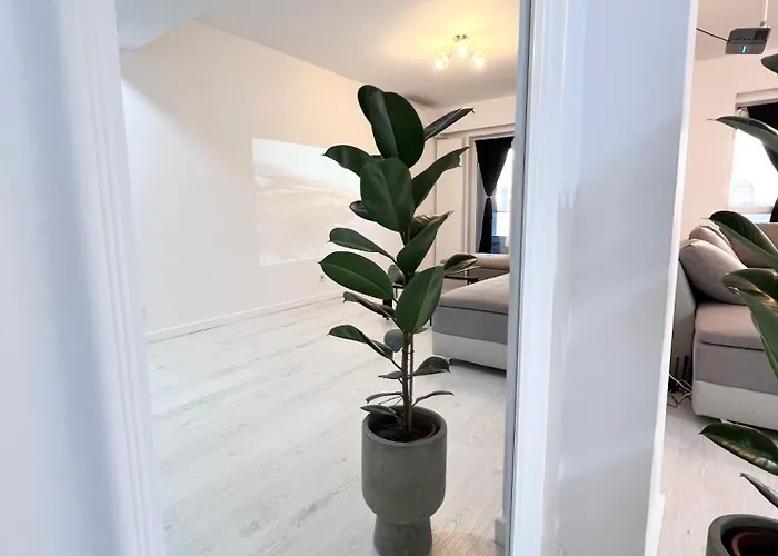 Vivo & Pool Access - Free Parking アパート *